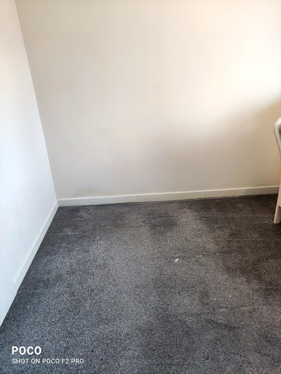 //www.sandyfordcarpetcleaning.ie/wp-content/uploads/2022/03/09-rotated.jpg