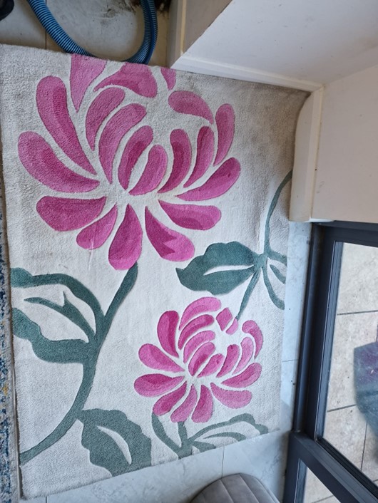 //www.sandyfordcarpetcleaning.ie/wp-content/uploads/2022/03/Picture1.jpg