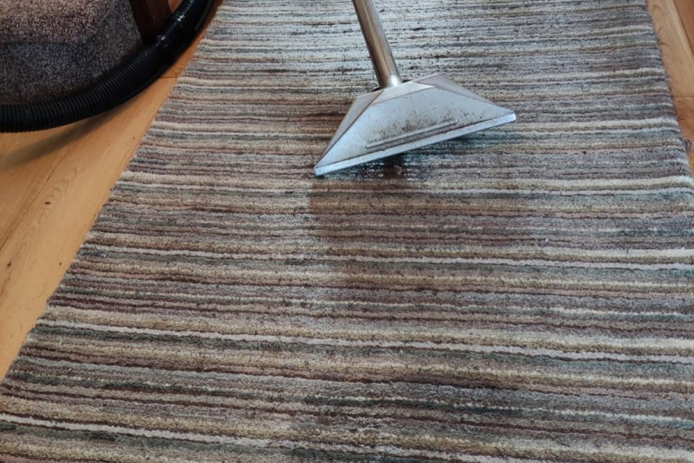 Domestic Carpet Cleaning Services