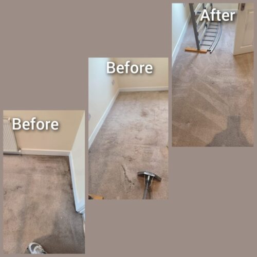 https://www.sandyfordcarpetcleaning.ie/wp-content/uploads/2022/03/1-1-500x500.jpg