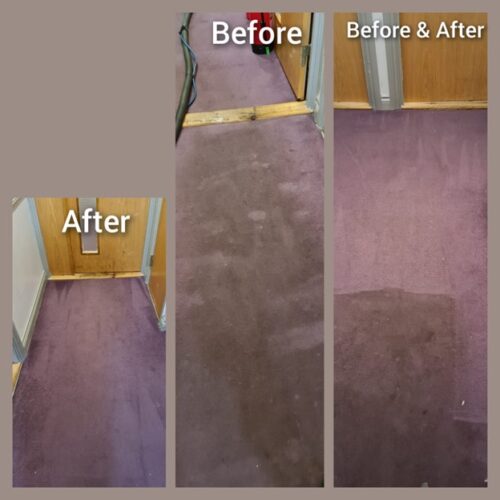 https://www.sandyfordcarpetcleaning.ie/wp-content/uploads/2022/03/2-1-500x500.jpg