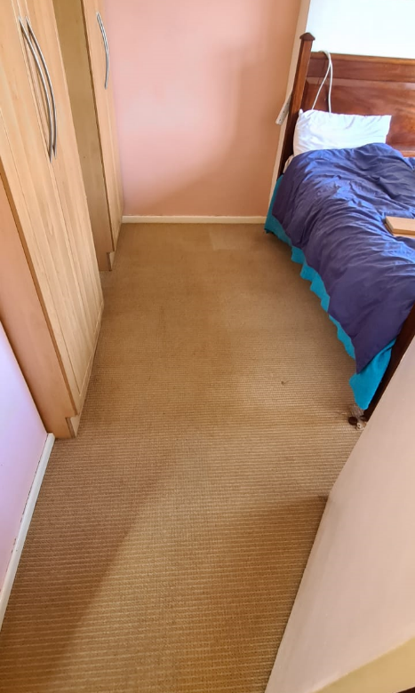 5 Tips to Carpet Cleaning Services