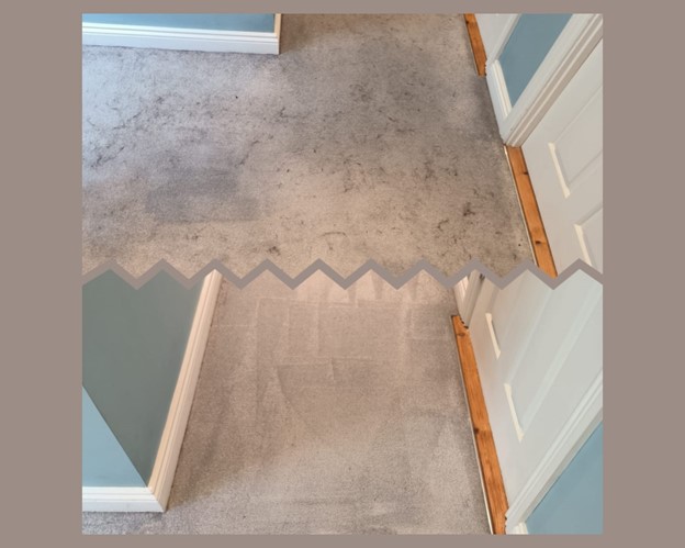 Carpet Cleaning Dublin