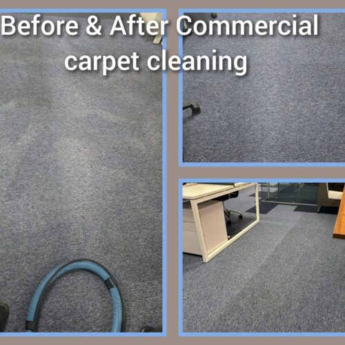 https://www.sandyfordcarpetcleaning.ie/wp-content/uploads/2022/03/cleaning-carpet-500x500.jpg