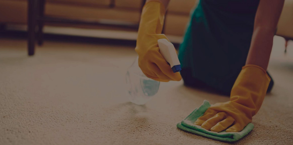 Carpet Cleaning Services