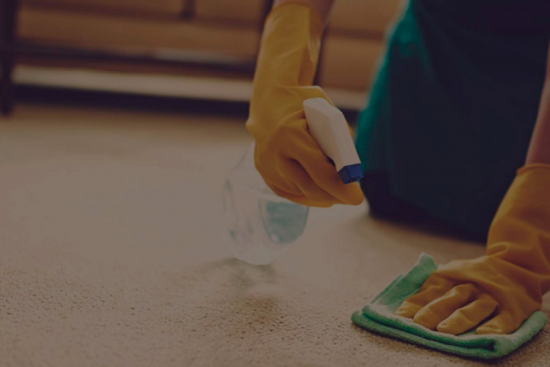 Carpet Cleaning Services