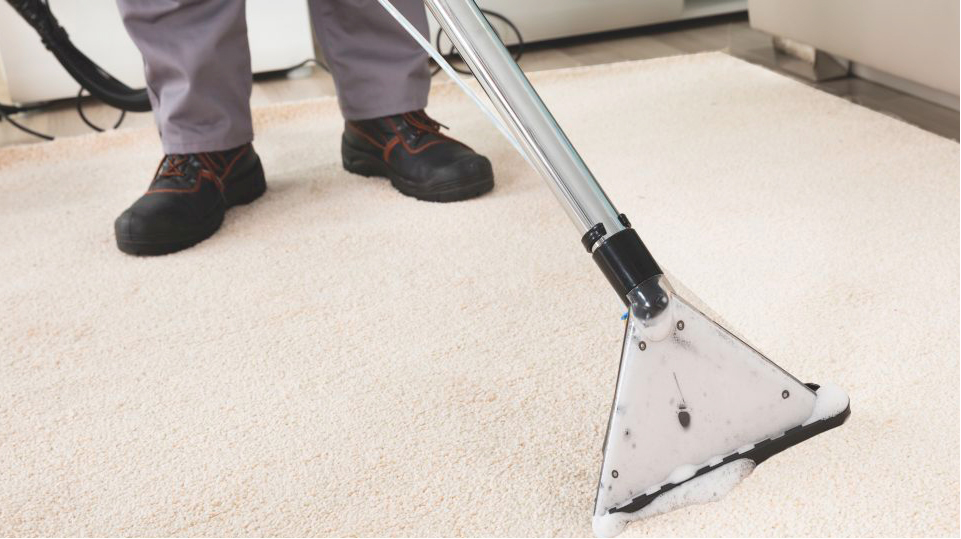 Professional Carpet Cleaners