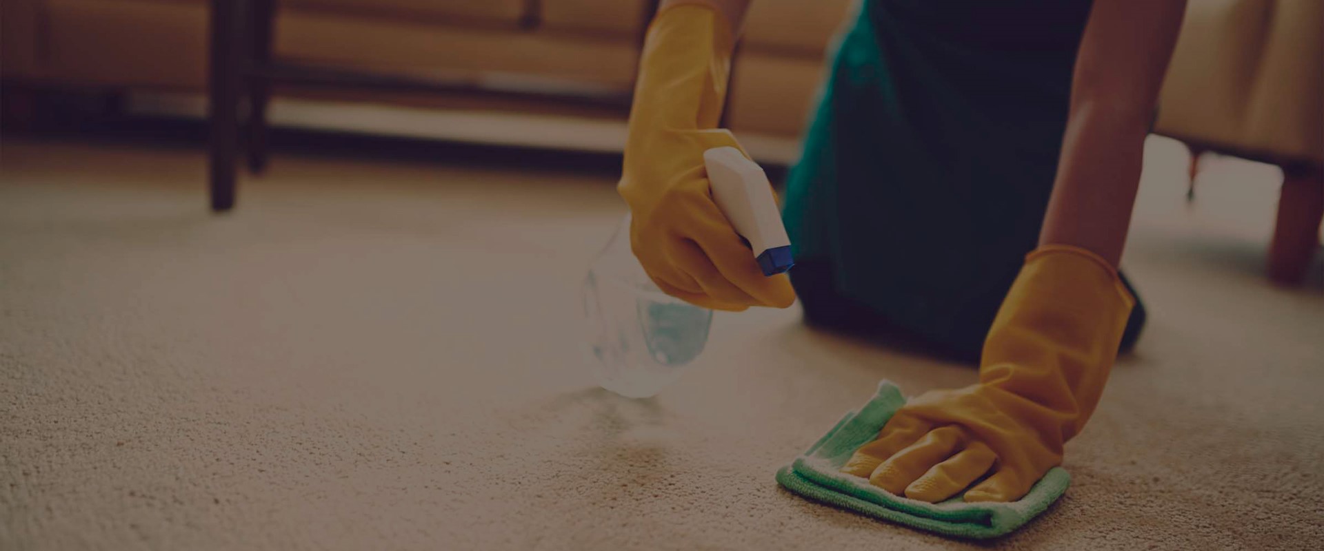 Professional carpet cleaning agency