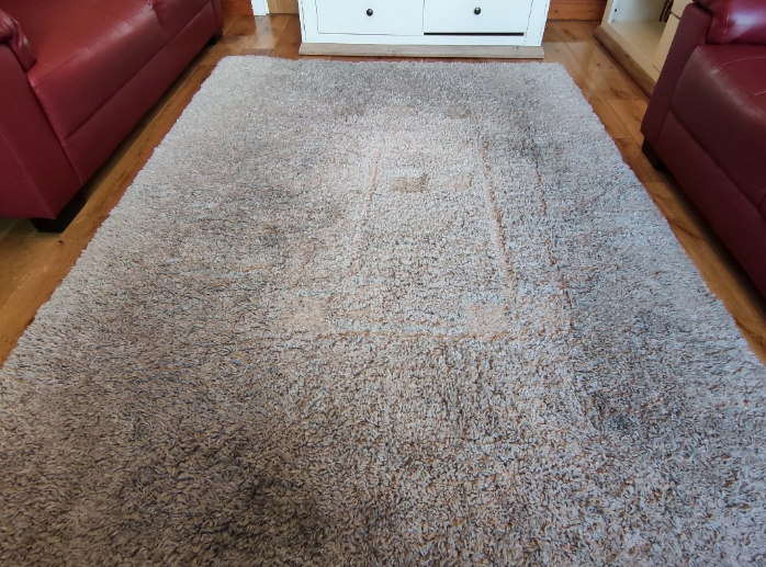 Healthy Indoor Carpet Cleaning Services