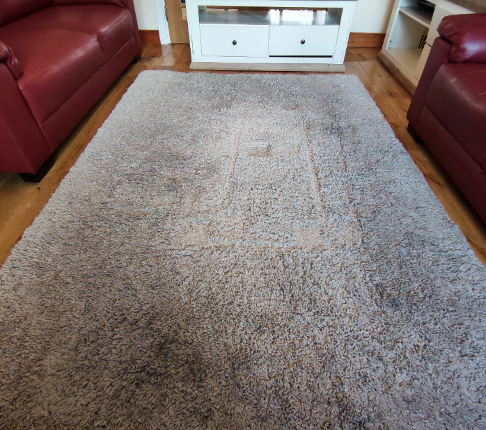 Healthy Indoor Carpet Cleaning Services
