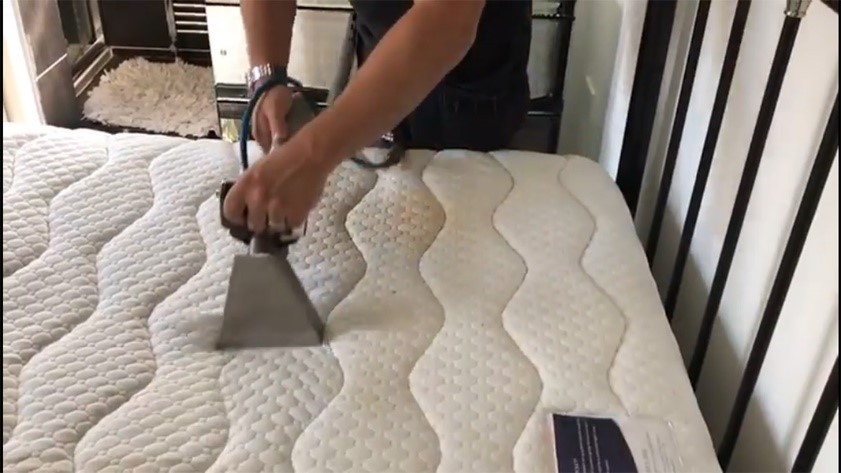 Sofa Cleaning Services