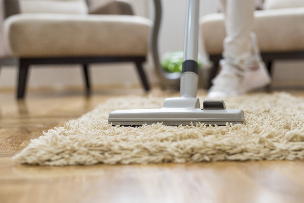 Carpet Cleaning Services