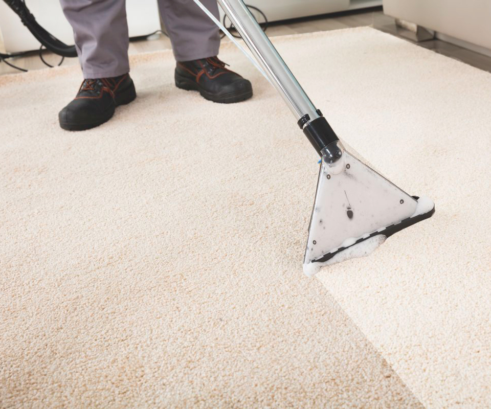 carpet cleaning companies near me