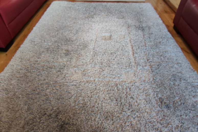 Wet Carpet Cleaning