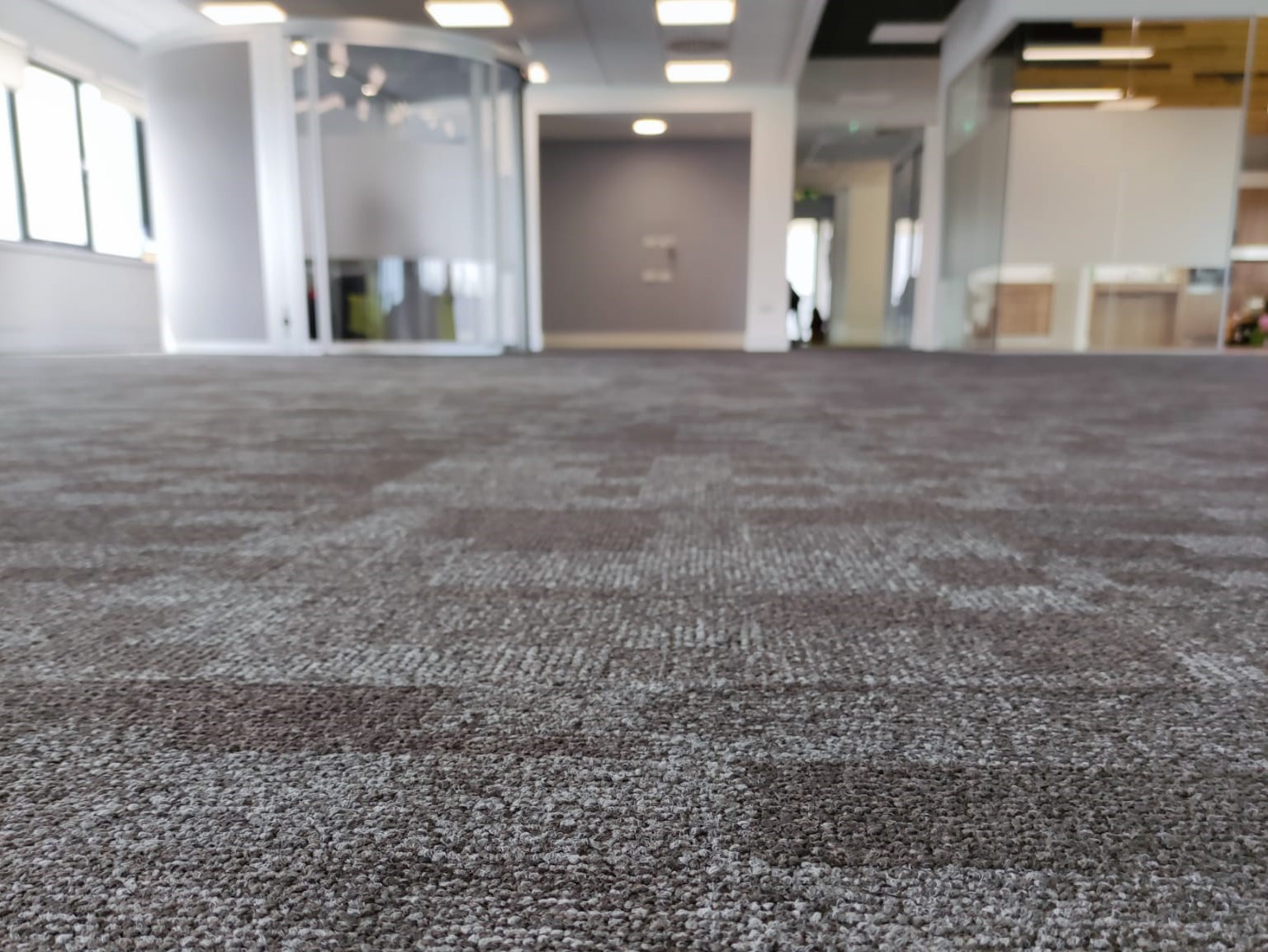 5 Reasons Why Pub and Restaurant Carpet Cleaning is Essential for