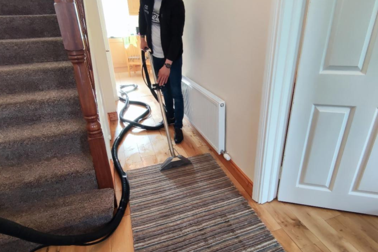 Professional Carpet Cleaning