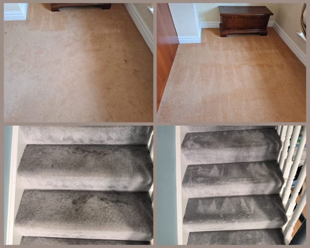 The Importance Of Regular Carpet Cleaning A Comprehensive Overview