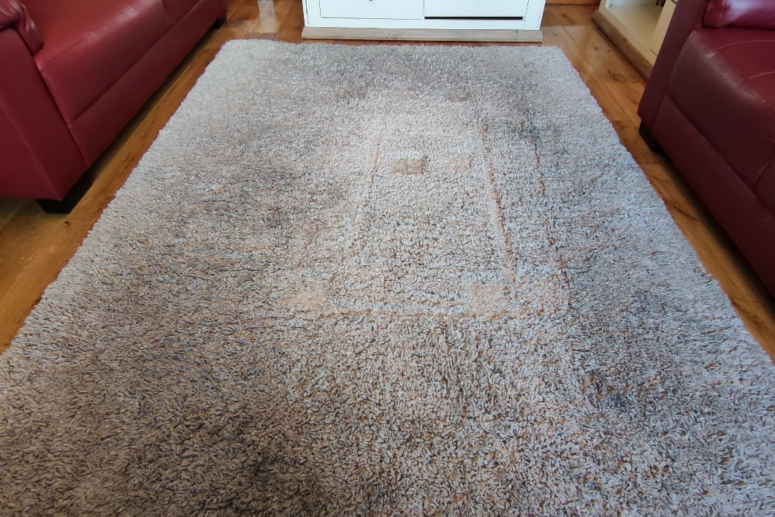 Carpet Cleaning Company