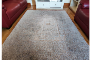 https://www.sandyfordcarpetcleaning.ie/wp-content/uploads/2023/07/Apartment-Carpet-Cleaning-300x200.png