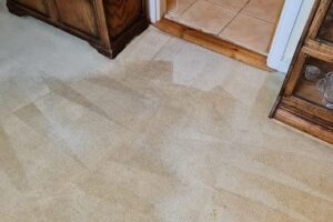 https://www.sandyfordcarpetcleaning.ie/wp-content/uploads/2023/07/Domestic-Carpet-Cleaning-300x200.jpg