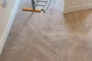 https://www.sandyfordcarpetcleaning.ie/wp-content/uploads/2023/07/Hotel-Carpet-Cleaning-300x200.jpg