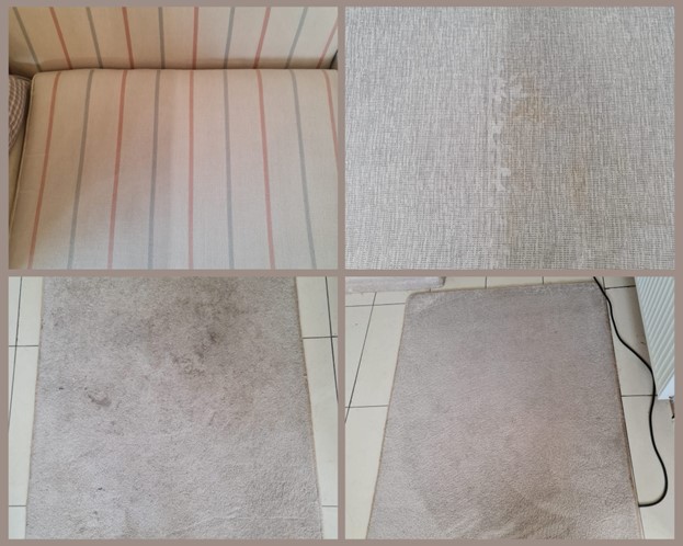 Carpet Cleaning Service Clonskeagh