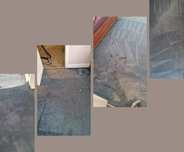 Carpet Cleaning Rathfarnham