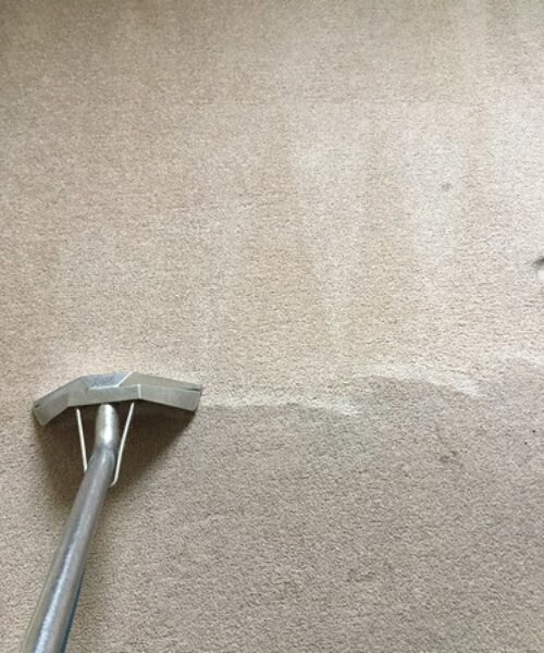 https://www.sandyfordcarpetcleaning.ie/wp-content/uploads/2023/08/Second-Image-500x600.jpg