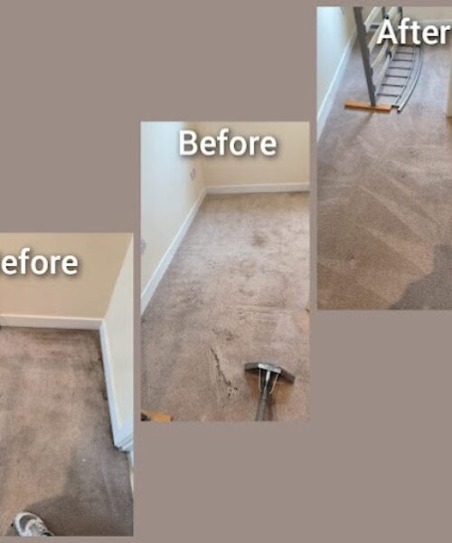 https://www.sandyfordcarpetcleaning.ie/wp-content/uploads/2023/08/fifth-image-500x600.jpg