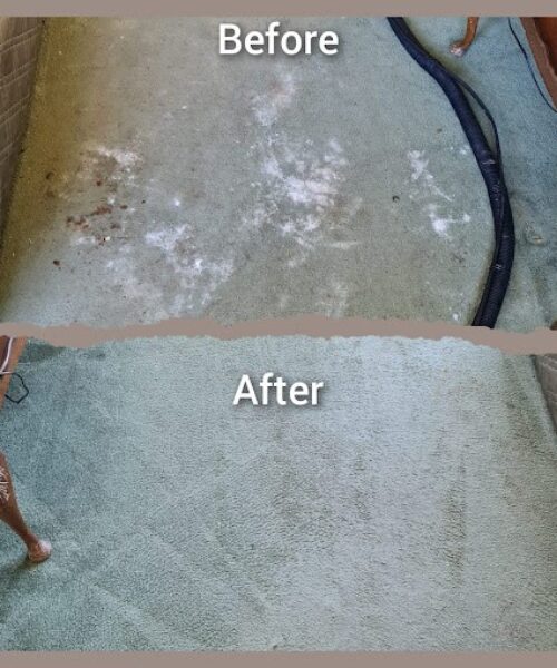 https://www.sandyfordcarpetcleaning.ie/wp-content/uploads/2023/08/fourth-image-500x600.jpg