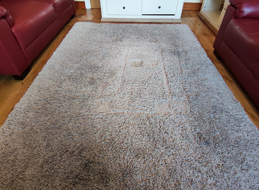 Rug Cleaning