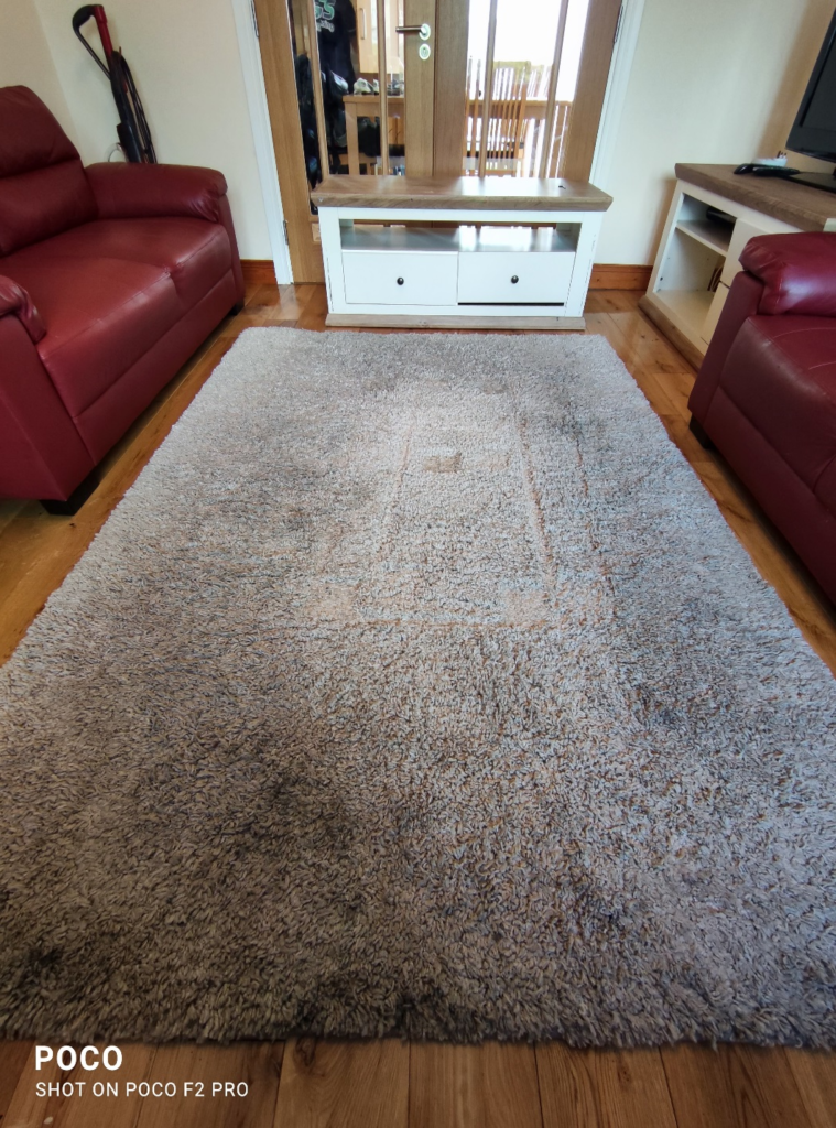 Choosing the Right Rug Cleaning Company What to Consider Sandyford