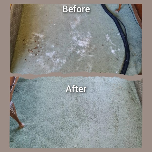 professional carpet cleaning