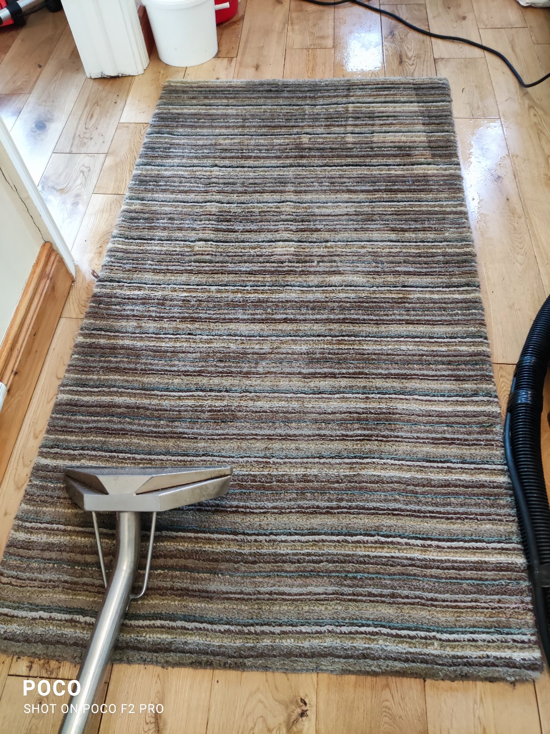 carpet cleaning sandyford