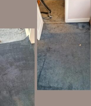 //www.sandyfordcarpetcleaning.ie/wp-content/uploads/2023/12/Screenshot_1-1.png