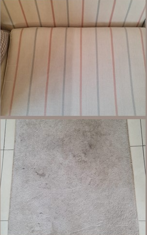 //www.sandyfordcarpetcleaning.ie/wp-content/uploads/2023/12/Screenshot_1.png