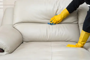 professional carpet cleaning near me