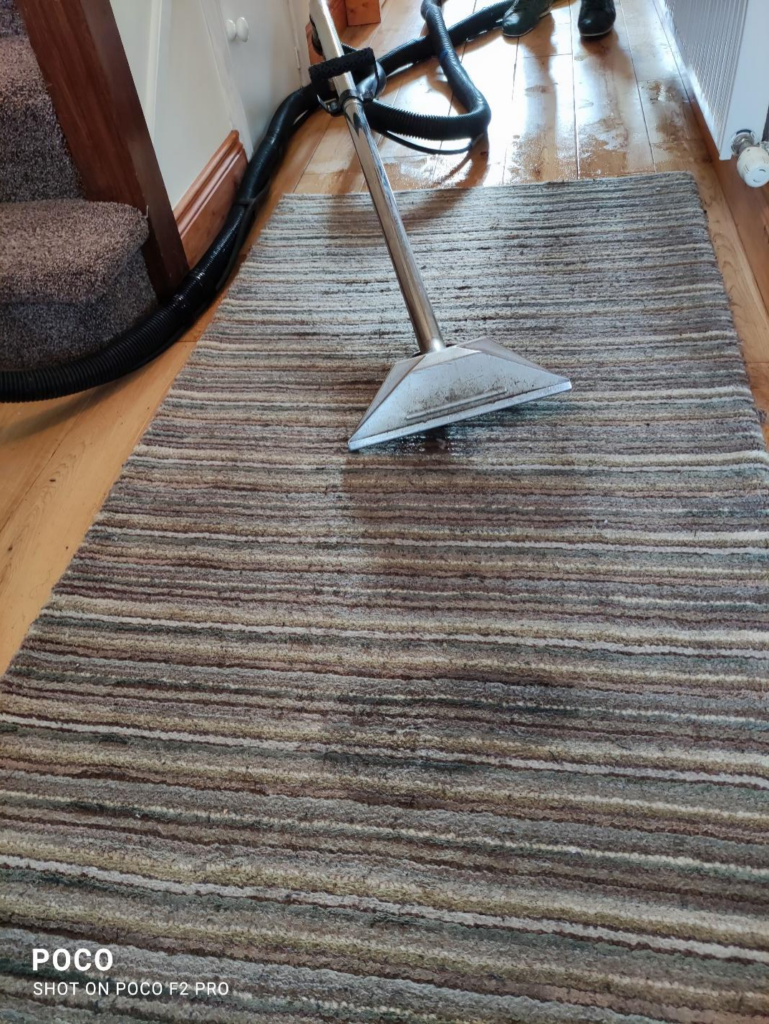 Carpet Cleaning At Home