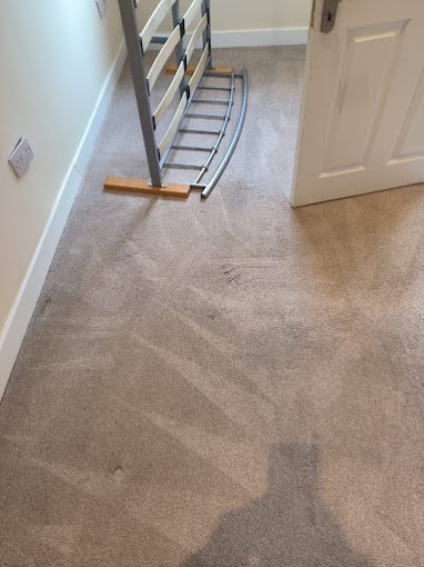 Professional Carpet Cleaning Near Me